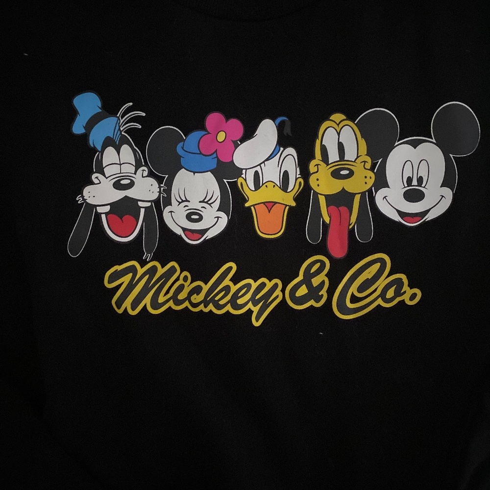 Mickey & Co. Disney Sweatshirt